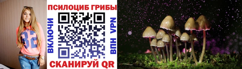 Псилоцибиновые грибы Psilocybine cubensis  где купить наркоту  Высоцк 