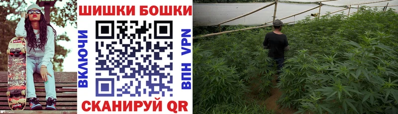 Конопля ГИДРОПОН  дарнет шоп  Высоцк 